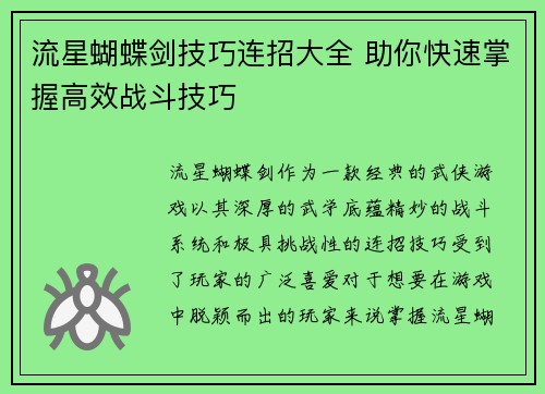 流星蝴蝶剑技巧连招大全 助你快速掌握高效战斗技巧